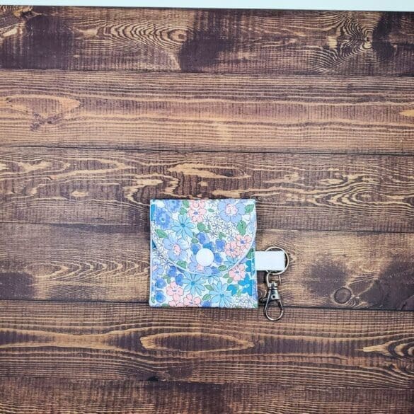 Springtime Azure Earbuds Case