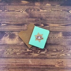 Brown Pink & Blue Moth Enamel Pin