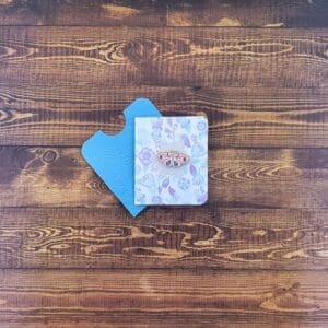 Pink & Purple Moon Moth Enamel Pin