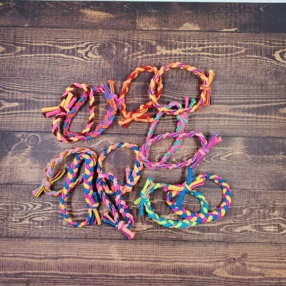 Bold Braids Set of 2 Vibrant Colors Hair Ties